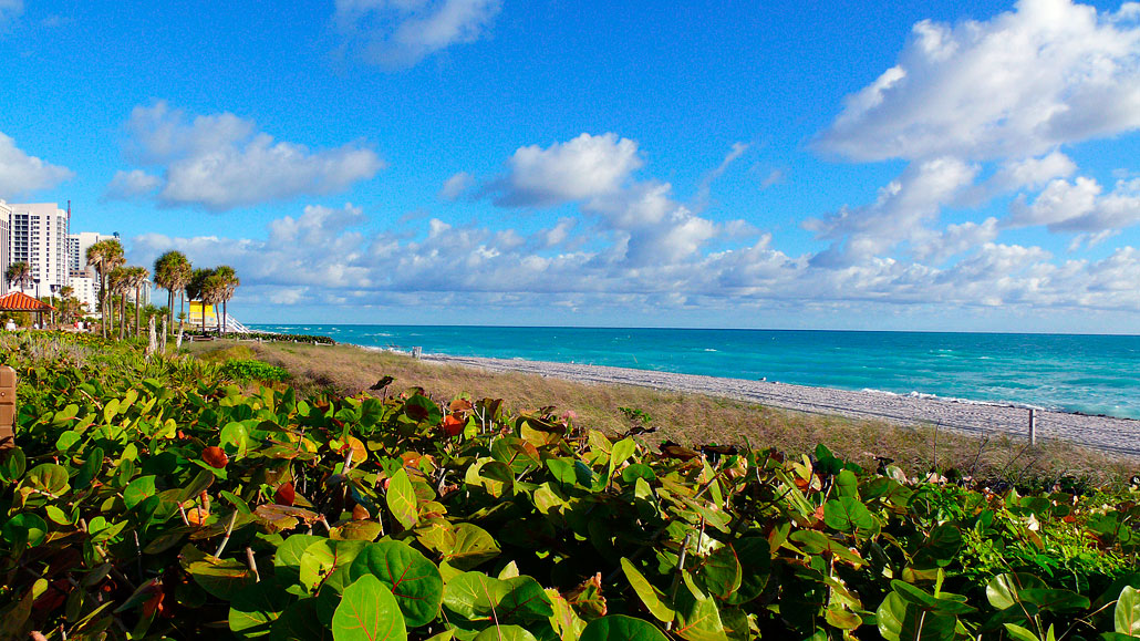 View from the Boardwalk at 44th Street