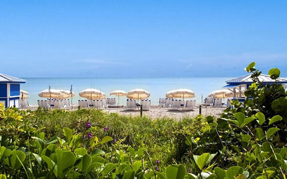 Beachfront beyond Pool