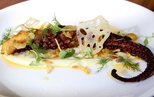 Grilled Octopus with fennel puree, crispy onions and chili oil