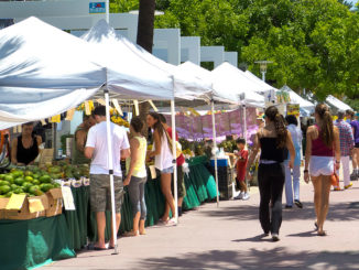 Lincoln Road Sunday Market